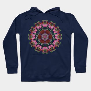 Carolinian Wildflowers Kaleidoscope Hoodie